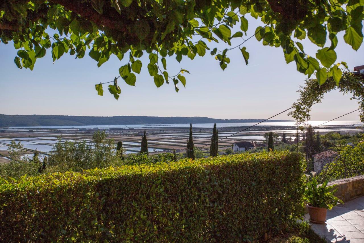 Apartment Stella Portorož Eksteriør bilde